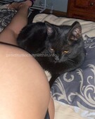 Анкета проститутки Галя - метро Южнопортовый, возраст - 24